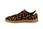 alley  leopard - Photo