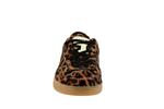 alley  leopard - Photo