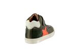 aster  2 vert fonce - Photo