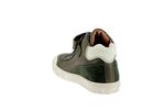 aster  2 vert fonce - Photo