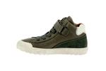 aster  2 vert fonce - Photo