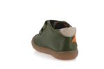 ollie s star  4 olive - Photo