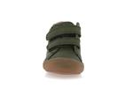 ollie s star  4 olive - Photo