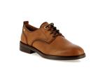 puertollano w3c 4867  brandy - Photo