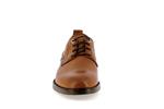 puertollano w3c 4867  brandy - Photo