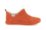 6030  orange - Photo