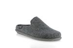 tomas  rw gris - Photo