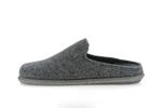 tomas  rw gris - Photo