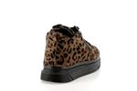 maisey leopard cafe - Photo