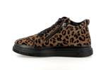 maisey leopard cafe - Photo