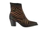 melia croute zebre maculato zebre - Photo