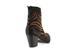 melia croute zebre maculato zebre - Photo