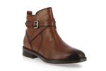 puertollano w3c 8869  brandy - Photo