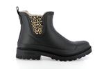 lua mate animal fur noir sand leo - Photo