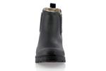 lua mate animal fur noir sand leo - Photo