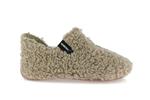 yoi curly camel - Photo