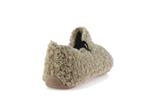 yoi curly camel - Photo