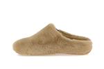 york groseto camel - Photo