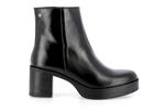 9591  noir - Photo