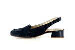 9305 velours bleu - Photo