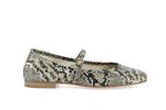 55362 python beige - Photo