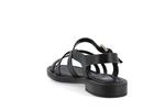 9730  noir - Photo