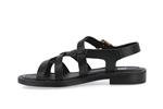 9730  noir - Photo