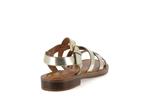 9730  platine - Photo