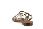 9730  platine - Photo