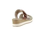 d6463  24 beige or muskat - Photo