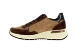 57702  26 mocca - Photo