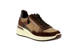 57702  26 mocca - Photo