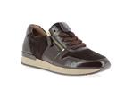 6019 01  005 mocca - Photo