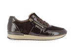 6019 01  005 mocca - Photo