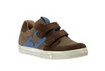 dolvy  11 brown - Photo