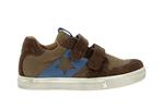dolvy  11 brown - Photo