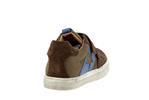 dolvy  11 brown - Photo