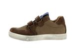 dolvy  11 brown - Photo