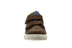 dolvy  11 brown - Photo
