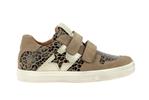 dolvy  14 beige + - Photo