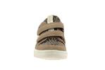 dolvy  14 beige + - Photo