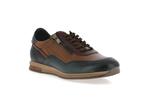 f2263  multi camel ocean - Photo