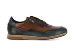 f2263  multi camel ocean - Photo