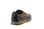 f2263  multi camel ocean - Photo