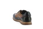 f2263  multi camel ocean - Photo