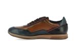 f2263  multi camel ocean - Photo