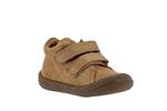 star  64 marron - Photo