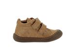 star  64 marron - Photo