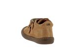 star  64 marron - Photo