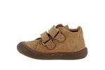 star  64 marron - Photo
